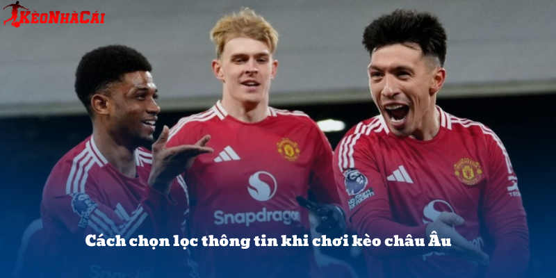 Soi kèo nhiều nơi để tổng hợp thông tin, nhưng phải có đánh giá riêng trước khi đặt cược.